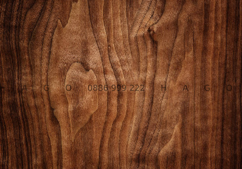 thiết kế nội thất gỗ óc chó tp Vinh